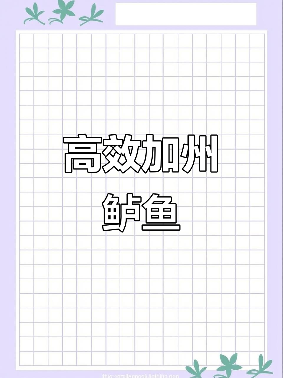 加州鲈鱼食性猛,养殖周期短,一亩利润可达数万