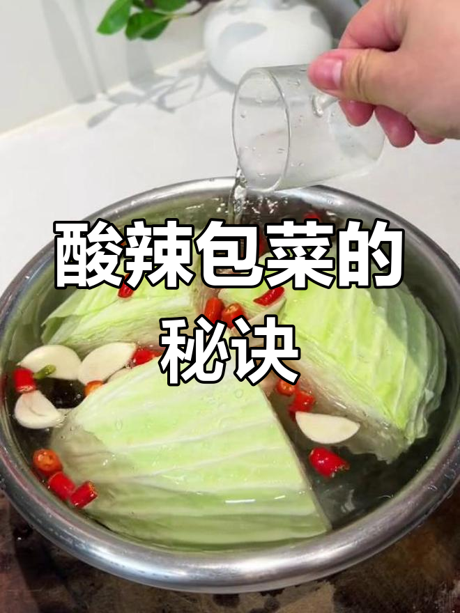 包菜烫水后,酸辣开胃,简单又美味,隔天就能吃!