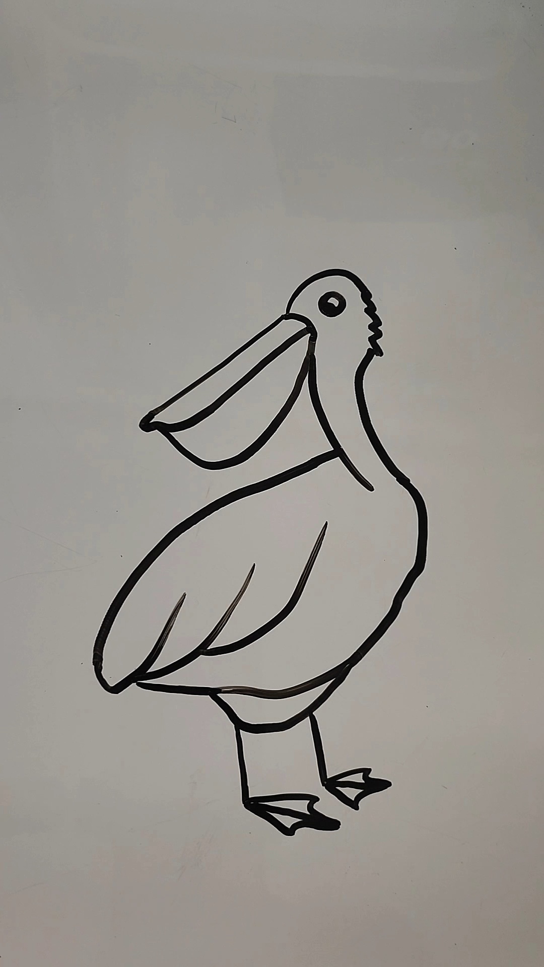 鸬鹚