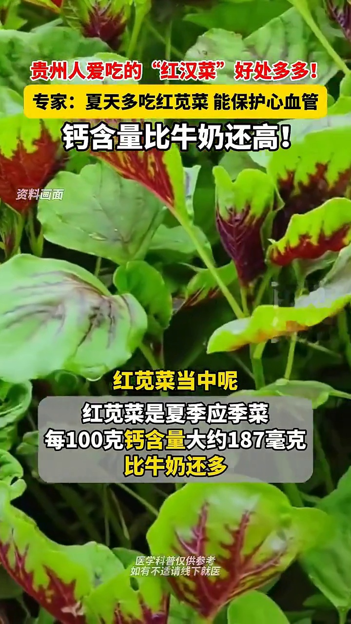 夏天多吃红苋菜好处多，保护心血管且钙含量高，适合女性和贫血人群
