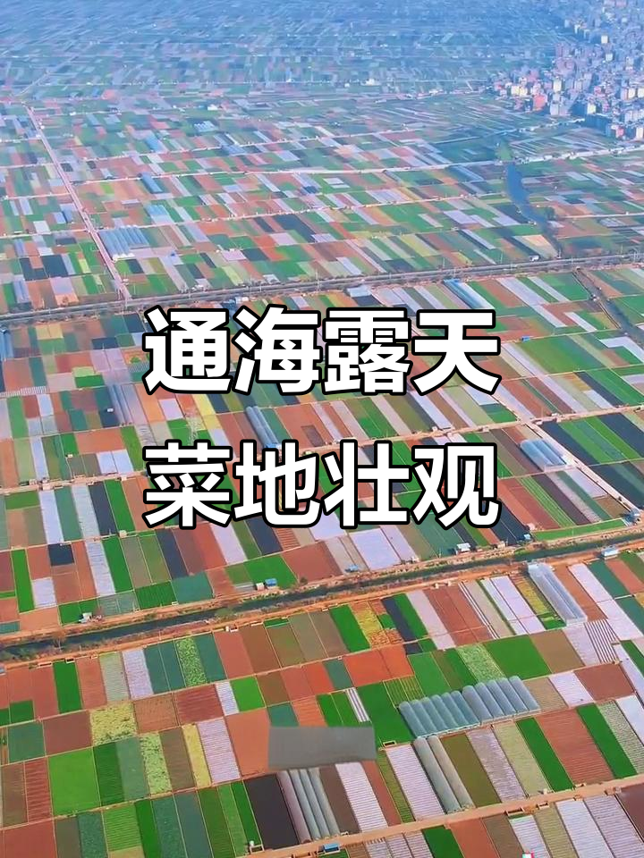 云南通海:中国最大露天蔬菜基地,四季常绿如调色盘