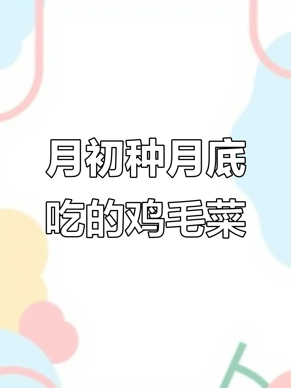 鸡毛菜：从月初种到月中吃，生长周期超短