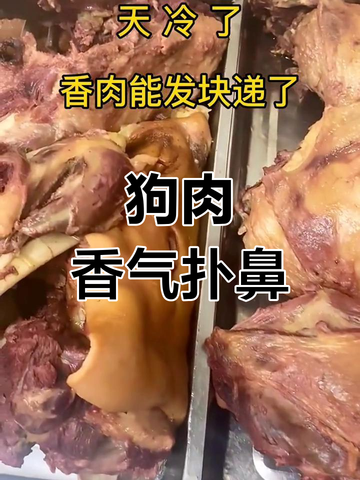 家乡的味道,狗肉香飘四溢,老姜枸杞黑豆煮着吃最地道