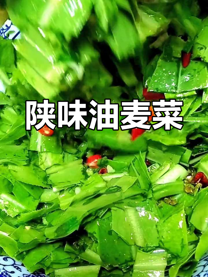 油麦菜新做法,简单又美味!试试这道陕西风味