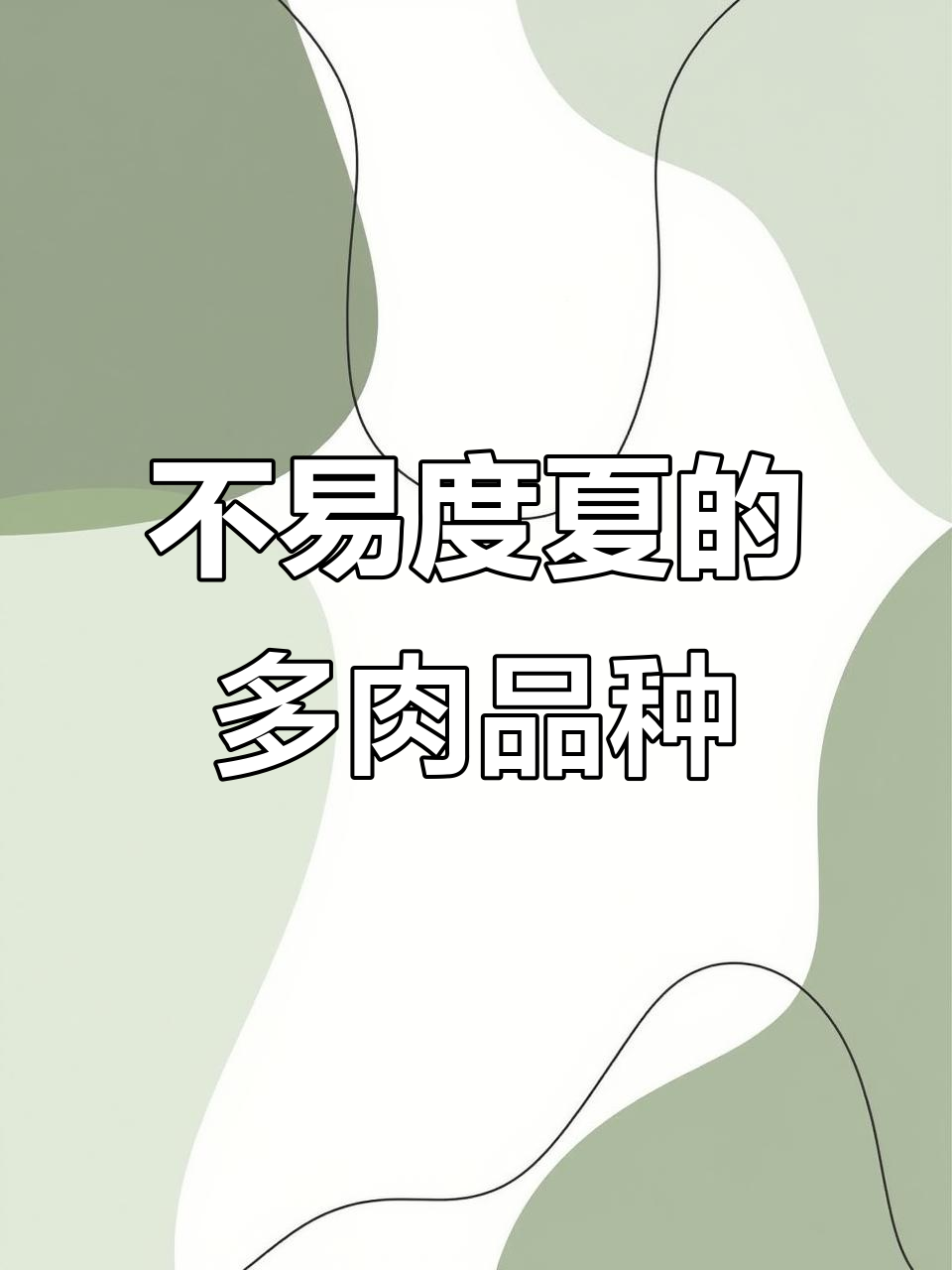 夏季最难养护的十款多肉，新手必看！