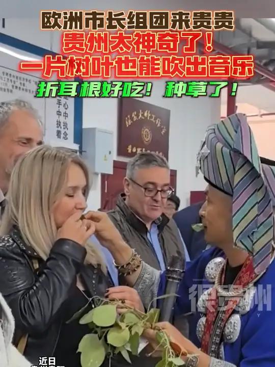 欧洲市长组团来贵贵,贵州太神奇了!一片树叶也能吹出音乐,折耳根好吃!种草了!