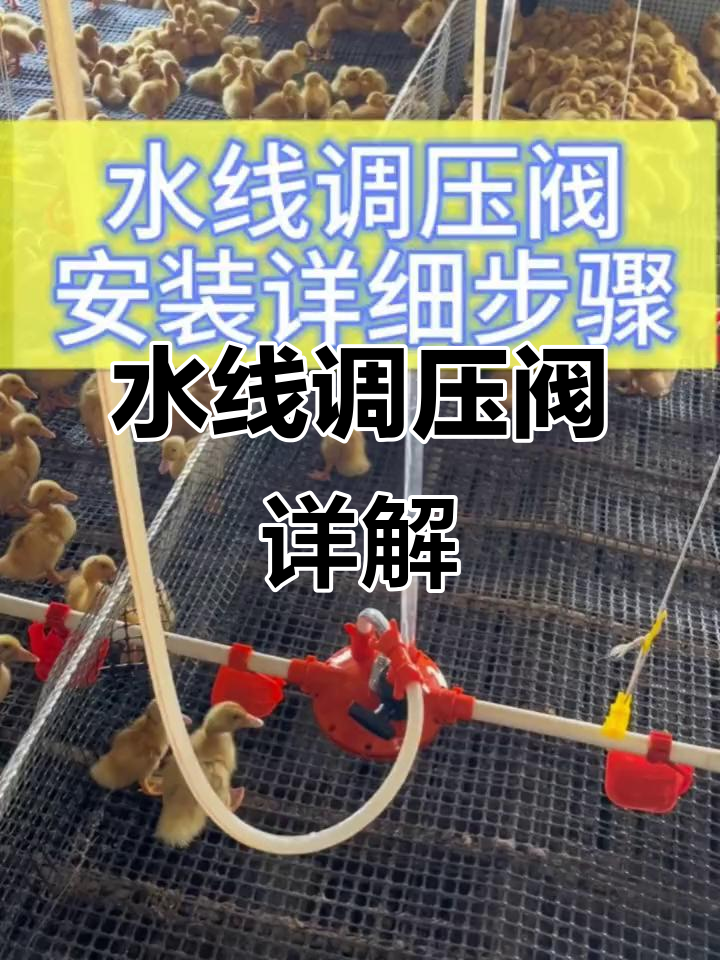 鸡舍水线调压阀安装全解析,每个部件功能大揭秘!