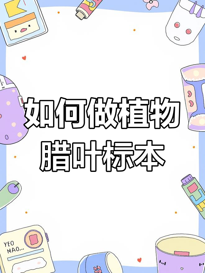 植物蜡叶标本制作全攻略,轻松学会这些步骤
