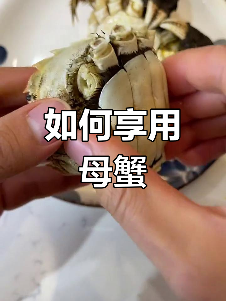 母螃蟹的正确吃法