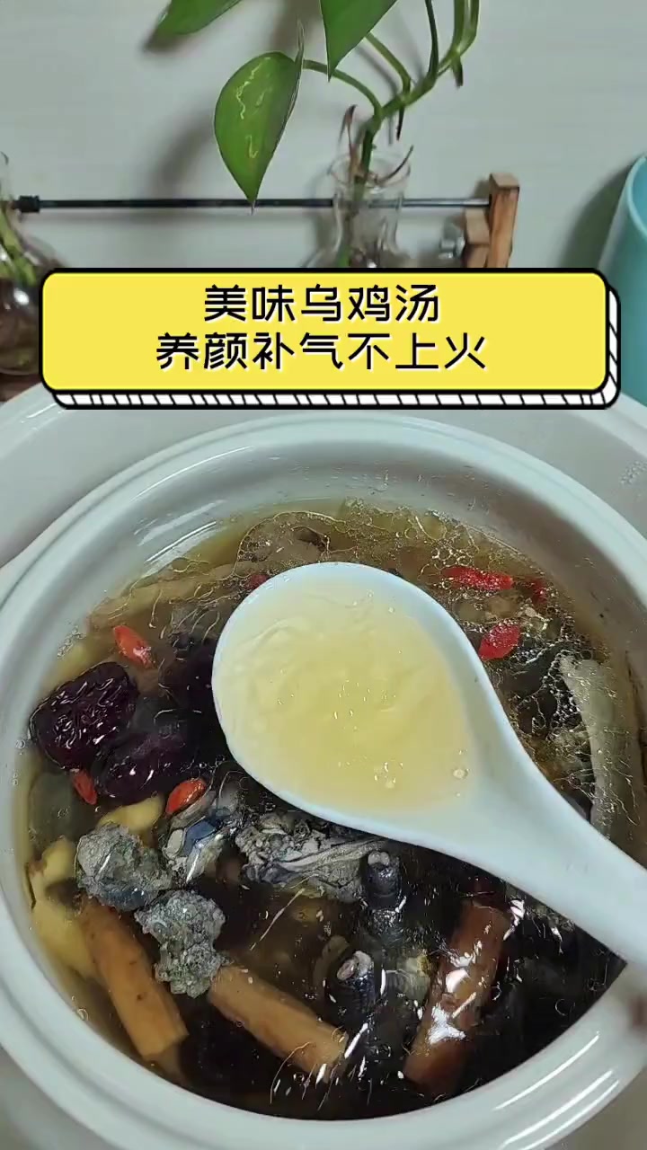 美味乌鸡汤,养颜补气不上火