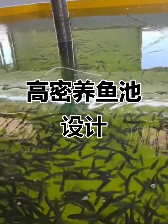 海容模块养殖鱼池,方形圆形八角型任选,高密度循环水设计
