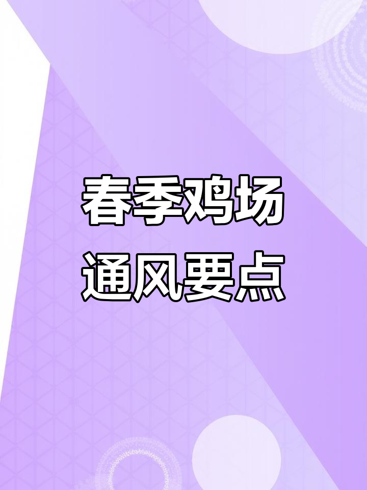 春季鸡场通风技巧:如何精准调节风机与湿温平衡
