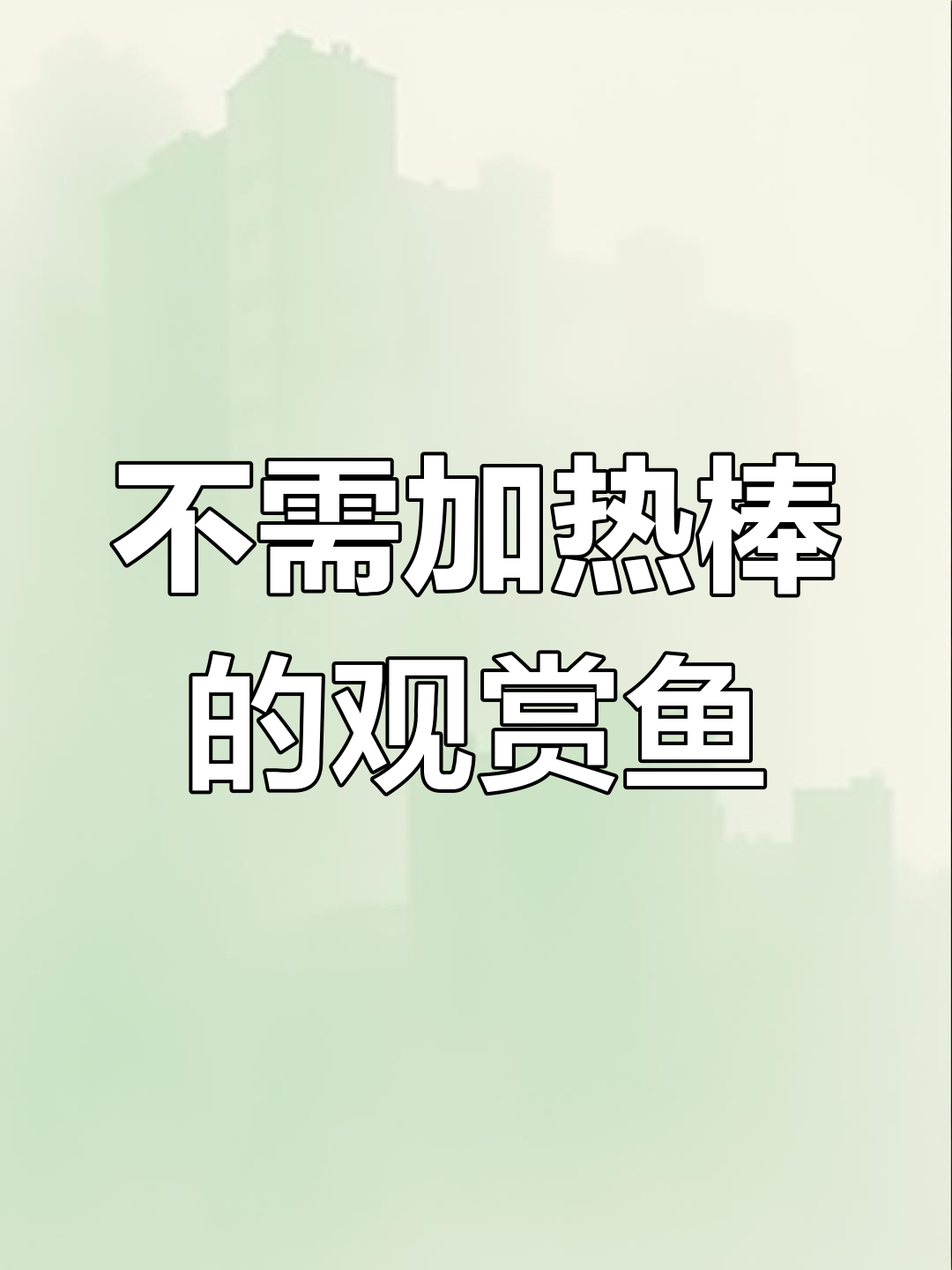 耐寒耐热的白云金丝鱼