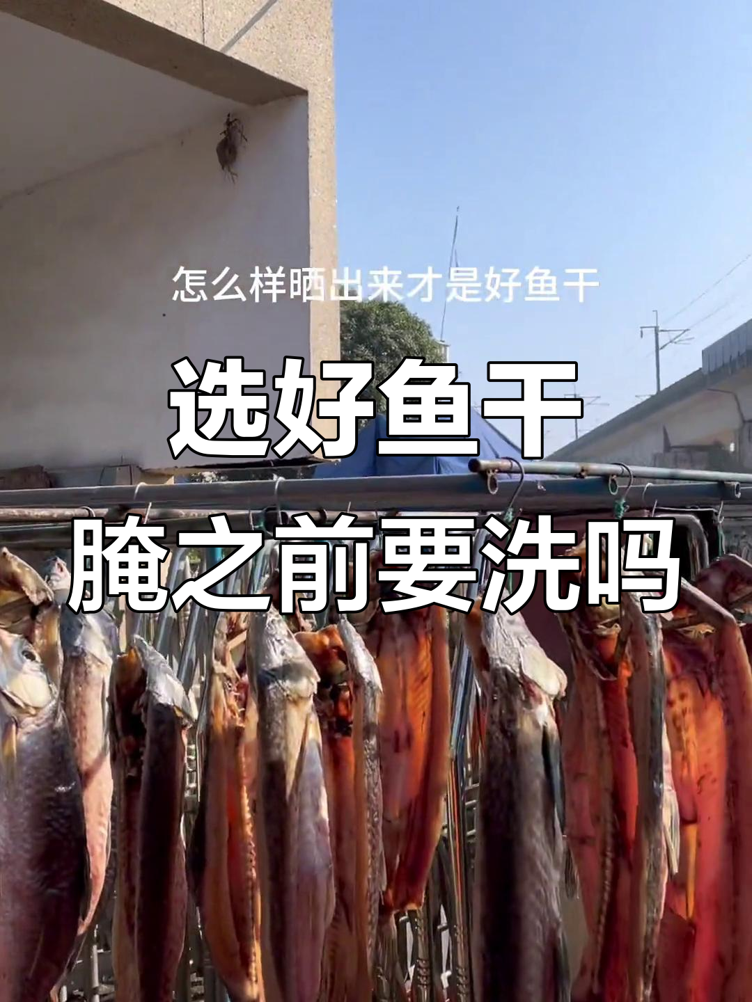 如何挑选优质鱼干?腌制前需不需要清洗