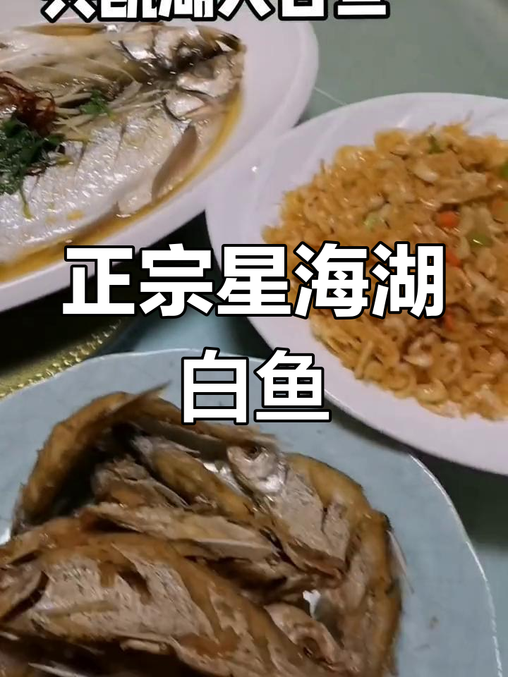 兴凯湖白鱼必试,二十年老店带来正宗美味