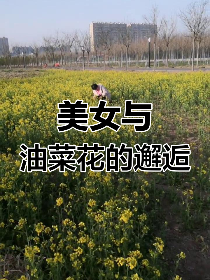 油菜花田中的美丽姑娘,何时归来?