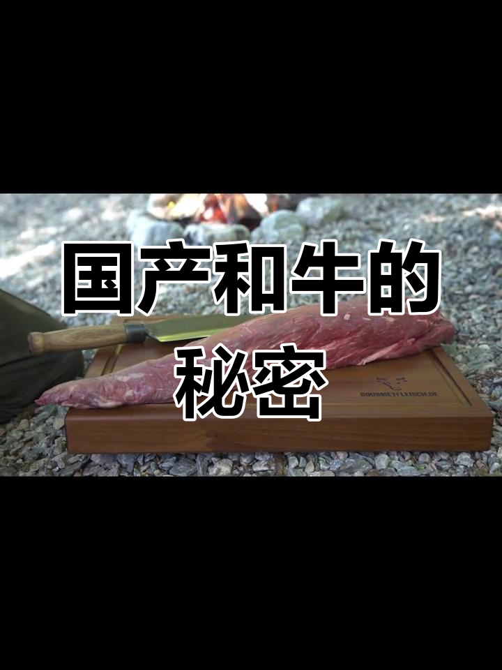 中国和牛崛起,雪花牛肉惊艳味蕾