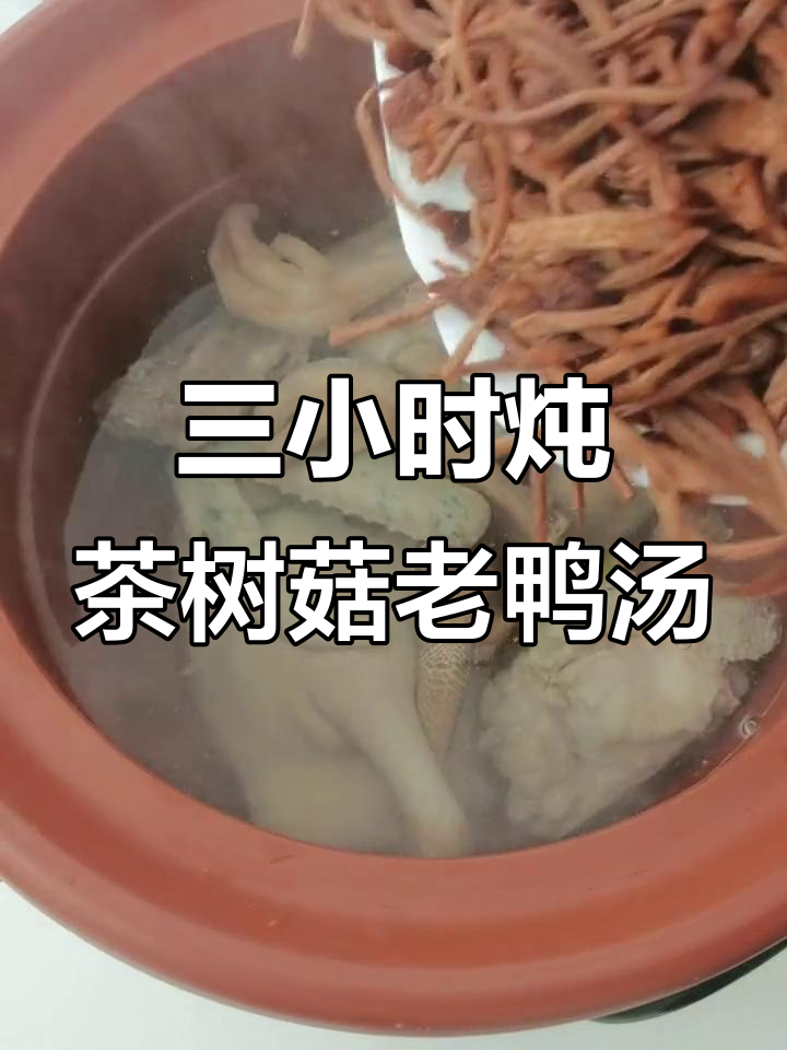 茶树菇老鸭汤,滋补养生三小时煲出美味