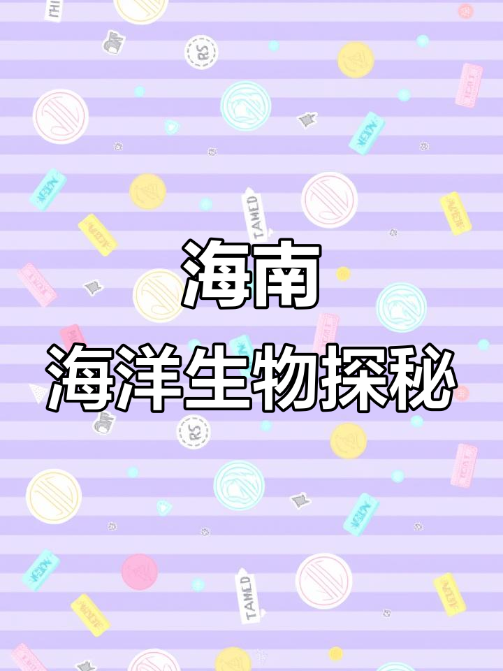 海南海水观赏鱼大揭秘,2023年你还不知道这些吗?