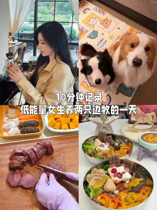 今天给两只小狗做漂亮饭吃：佛跳墙 低能量的人干完这一天活都变成高能量了 #vlog萌宠日常