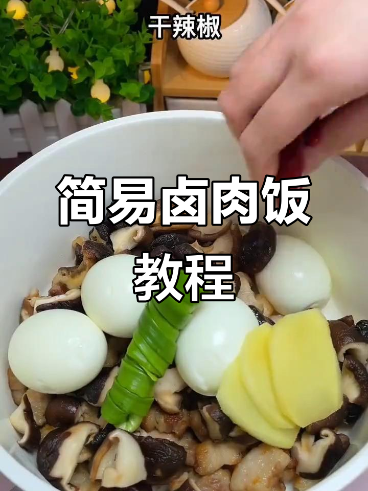 孩子最爱吃的卤肉饭,做法超简单,一学就会