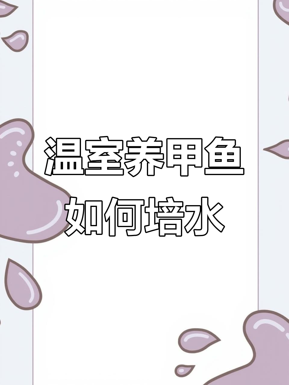 甲鱼养殖水体培调全攻略:从进水到增氧的每一步