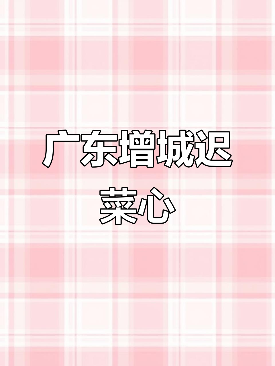 增城菜心：冬季美味送礼佳选，皮脆肉嫩超满足