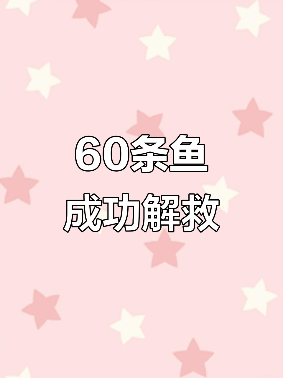 60票鱼获自由，缅甸小园钓点爆表