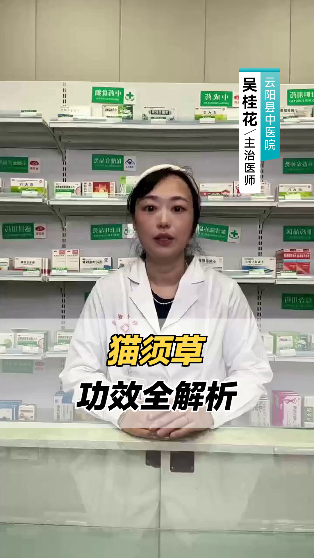 猫须草的功效全解析