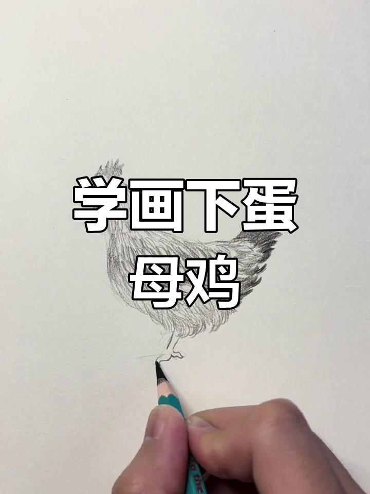 画一只下蛋母鸡,轻松学会绘画技巧