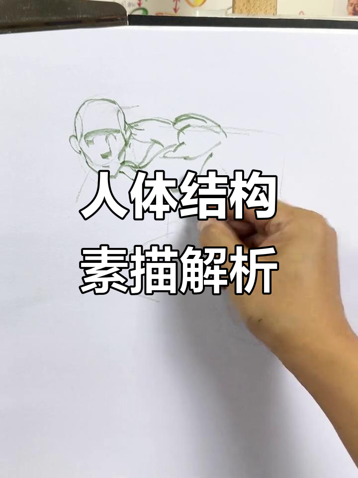 人体结构素描:从头部到腿部的透视与形状分析