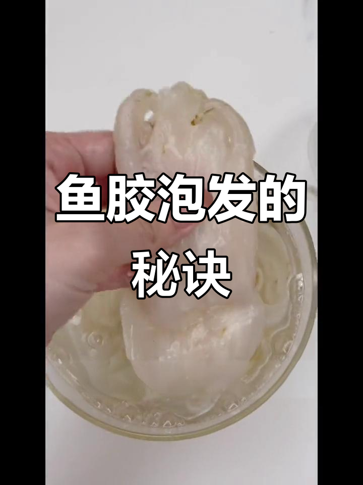 不起眼的小技巧,泡发鱼胶的关键步骤,效果惊人!