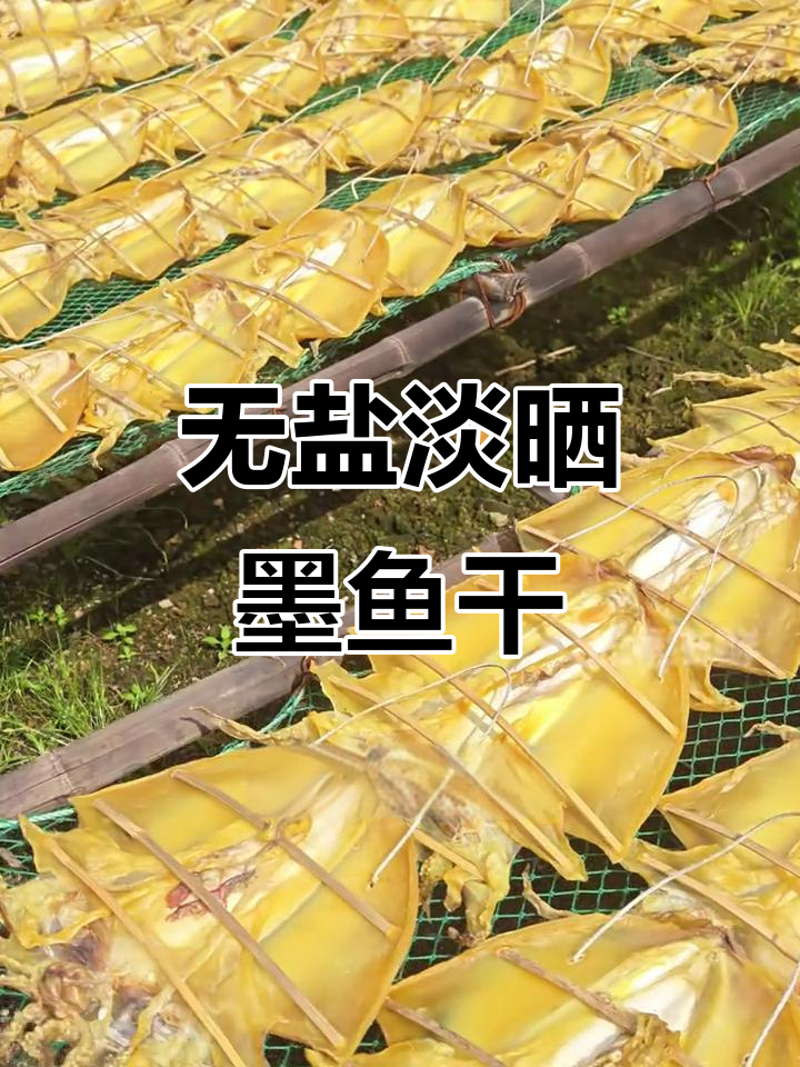 手工处理鲜活墨鱼,自然晾晒成无盐淡干,肉质紧实有嚼劲