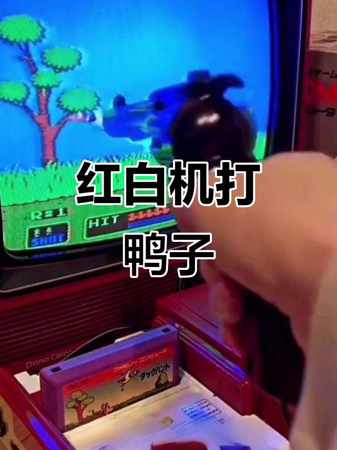 怀旧打鸭子游戏,重温经典红白机乐趣