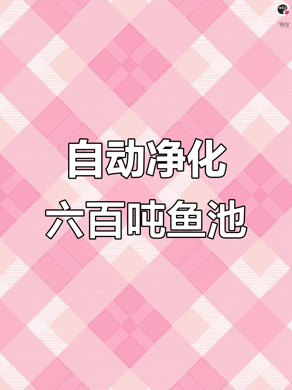 600吨锦鲤鱼池改造,自动化排污与水循环系统完美结合