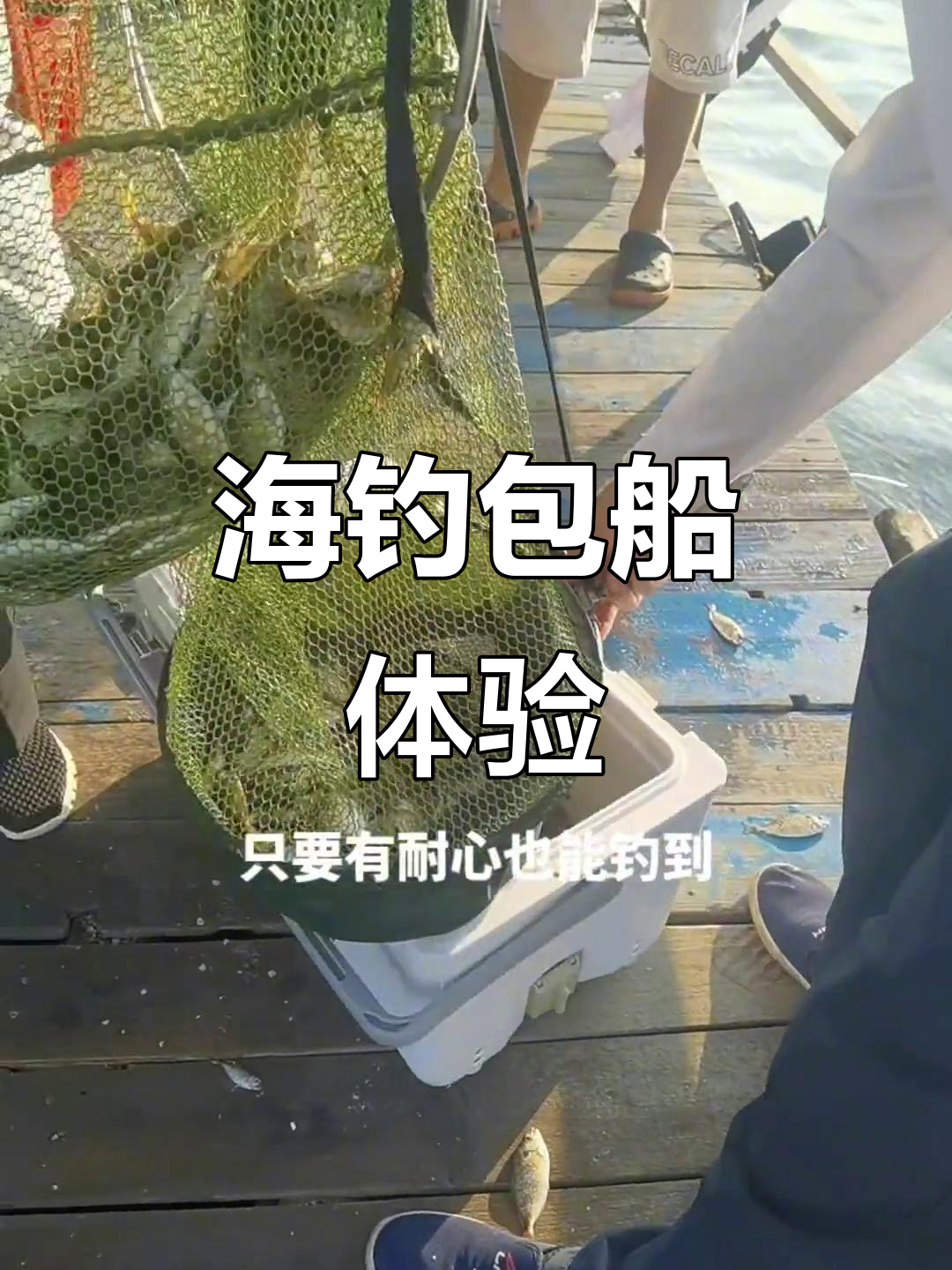 惠州海钓体验:鱼排钓鱼、夜钓鱿鱼,包船服务全攻略