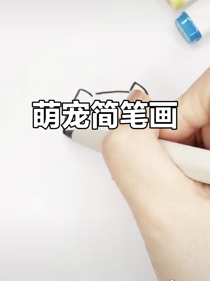 小八与甜筒,萌宠简笔画大集合!