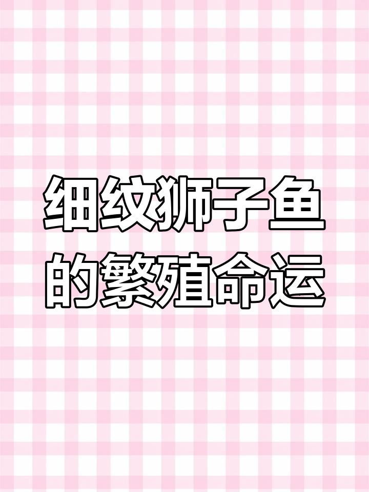 细纹狮子鱼:雌性产卵后死亡,雄性护卵至孵化