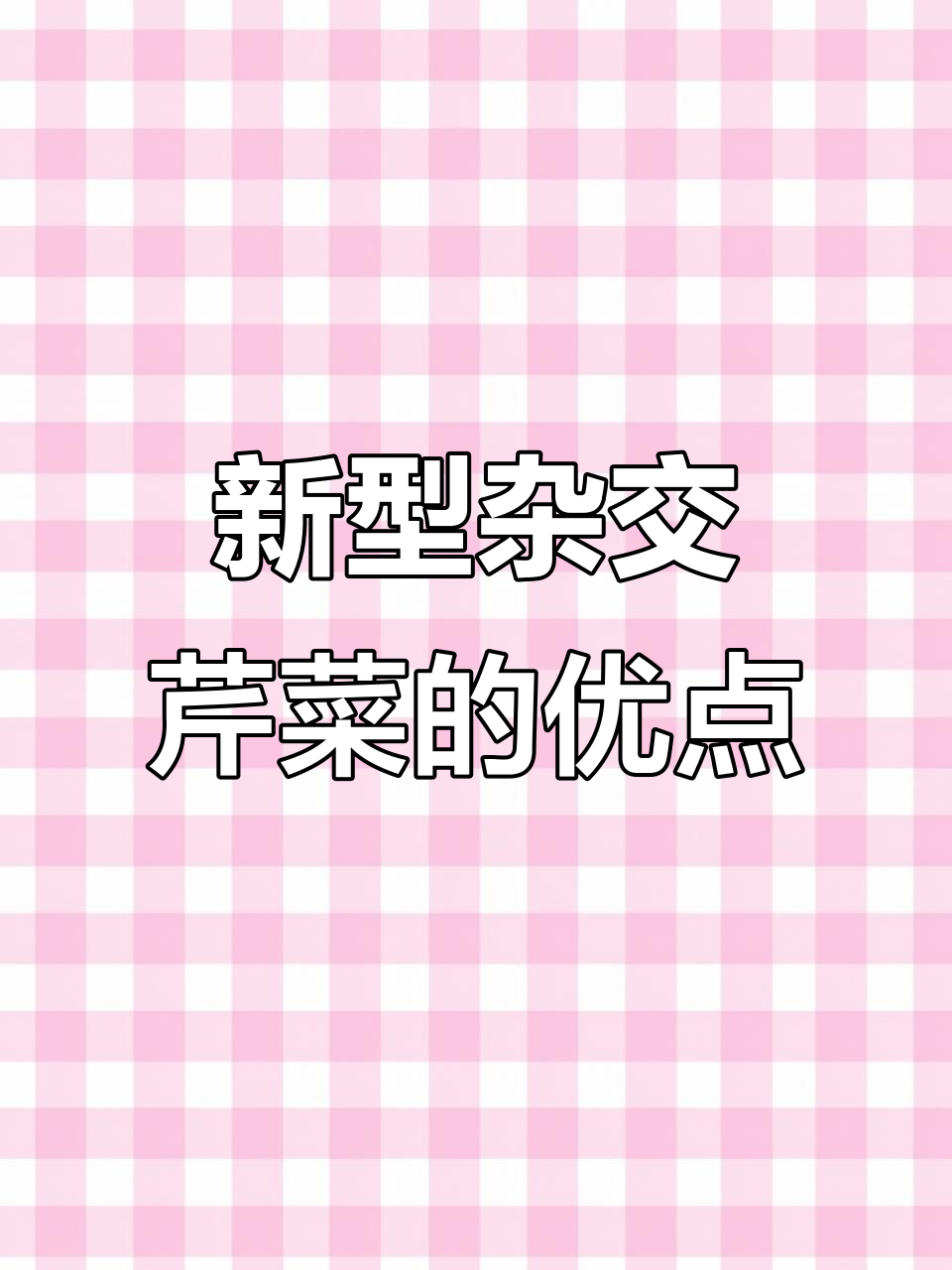 2023年新型芹菜品种,低温弱光下表现优异