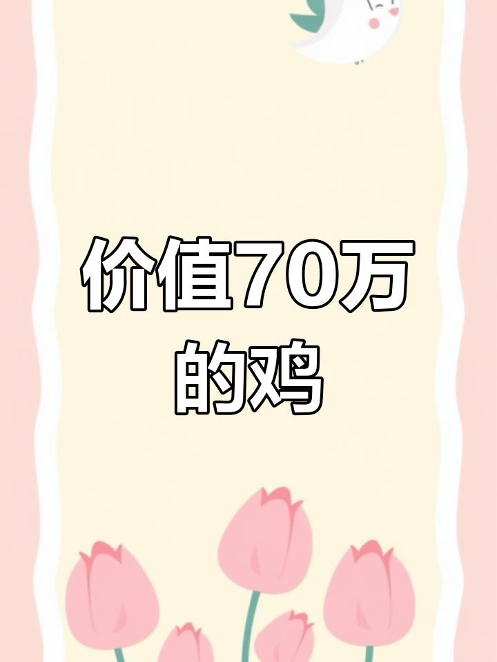日本长尾鸡身价70万,稀有品种供不应求