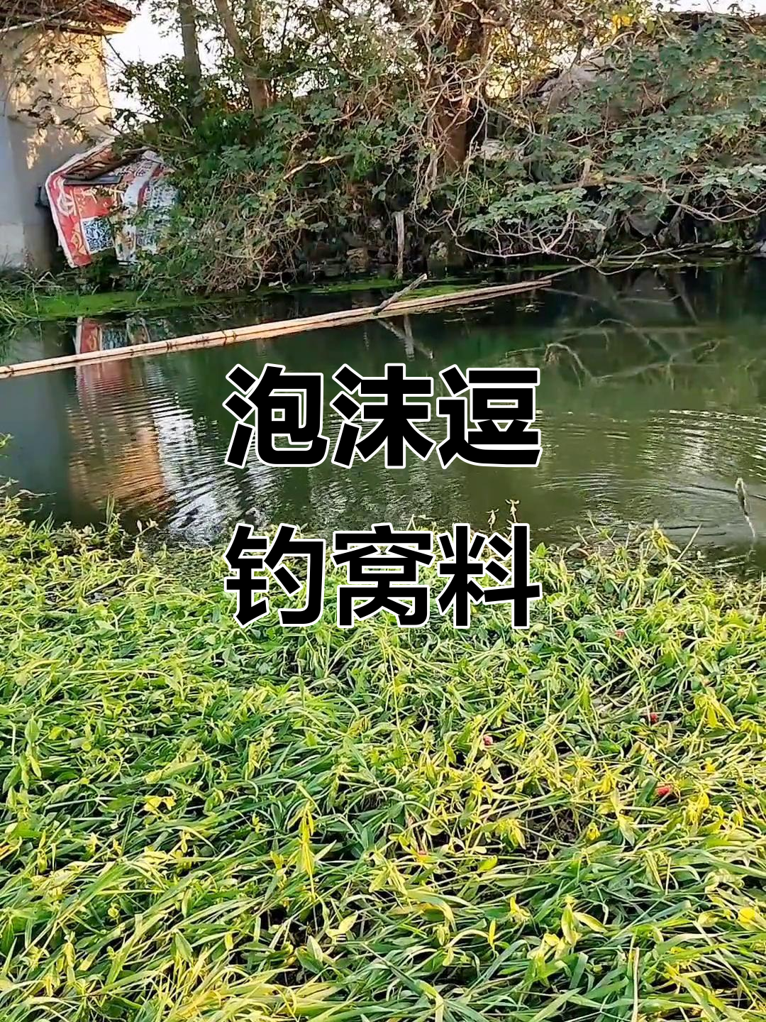 泡沫逗钓窝料大揭秘,轻松掌握钓鱼技巧