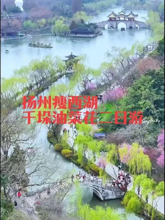 这个春天,跟着我们一起踏上这趟扬州瘦西湖东关街千垛油菜花二日游,感受扬州的历史韵味,欣赏千