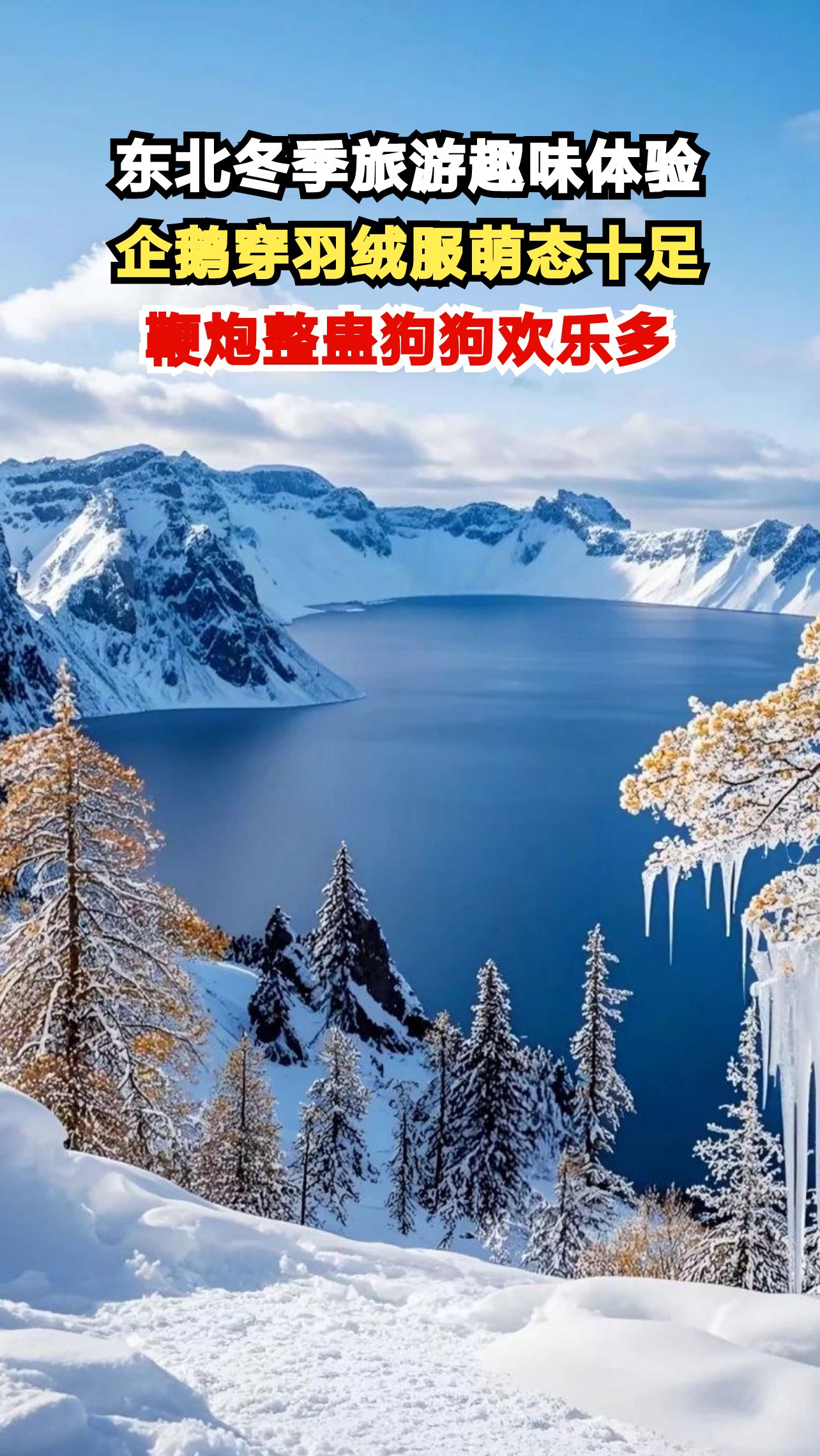 东北冬季旅游趣味体验,企鹅穿羽绒服萌态十足,鞭炮整蛊狗狗欢乐多