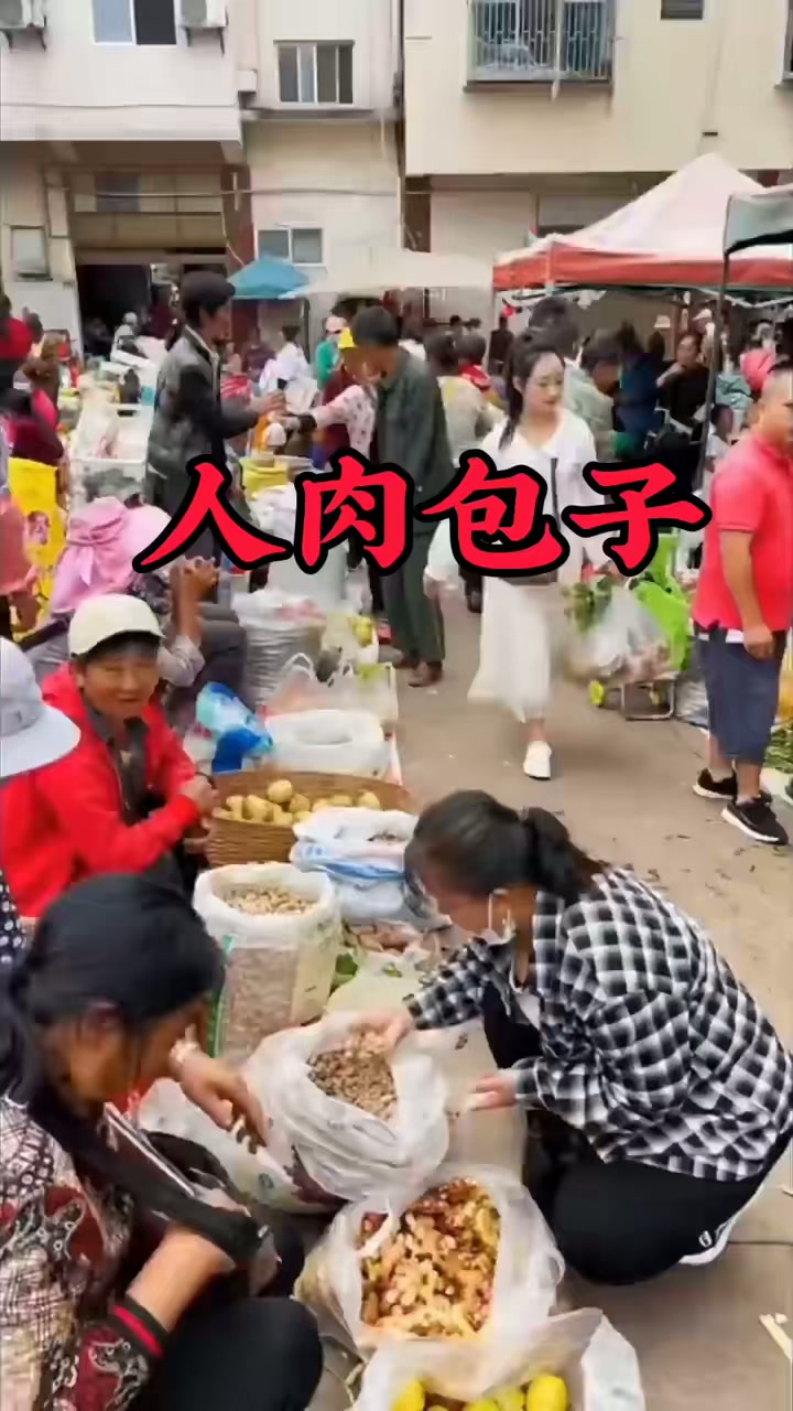 领国补上补上加补真的省，赏荷莲来西湖领国补上