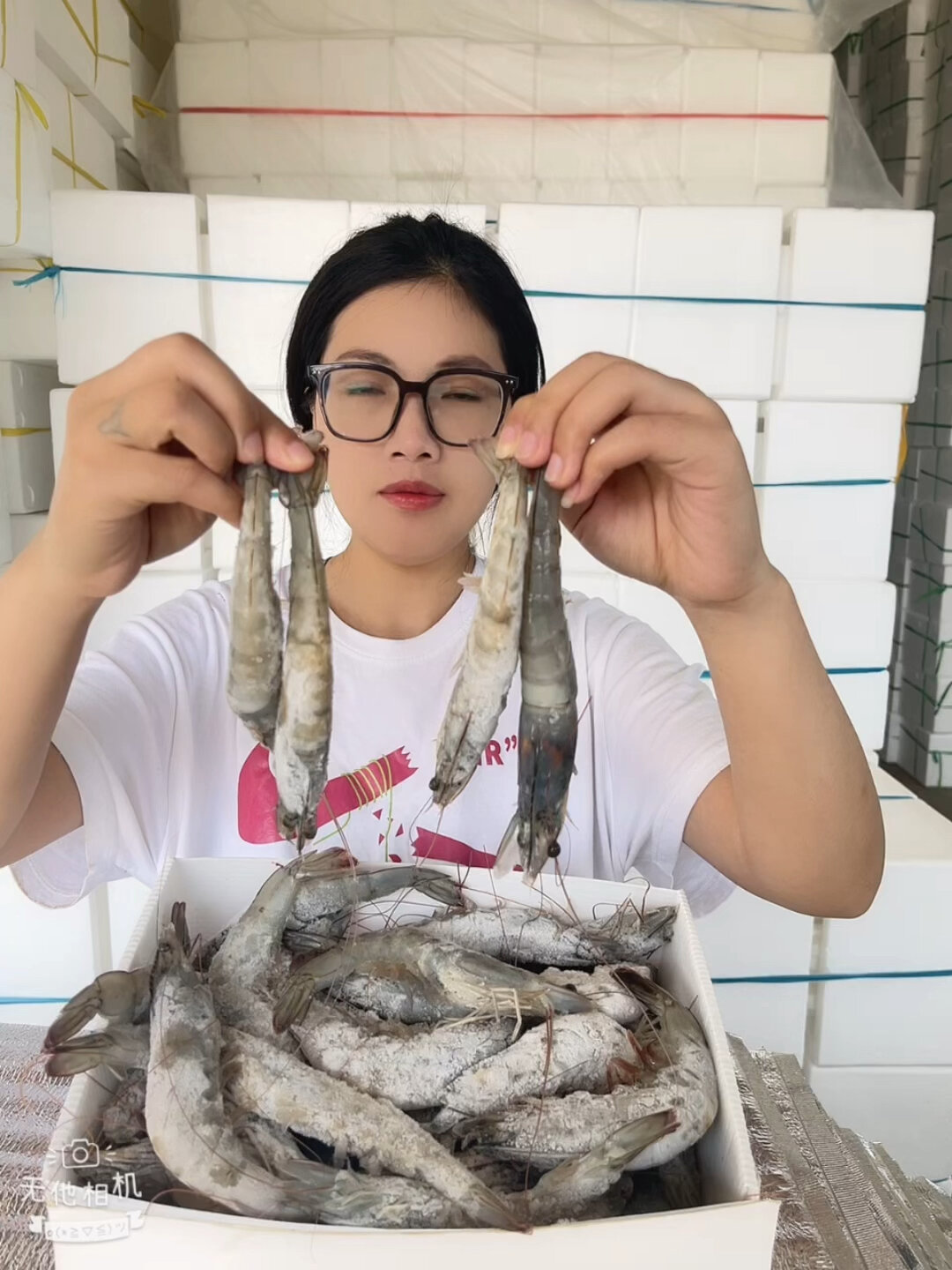 如何区分海水虾和淡水虾