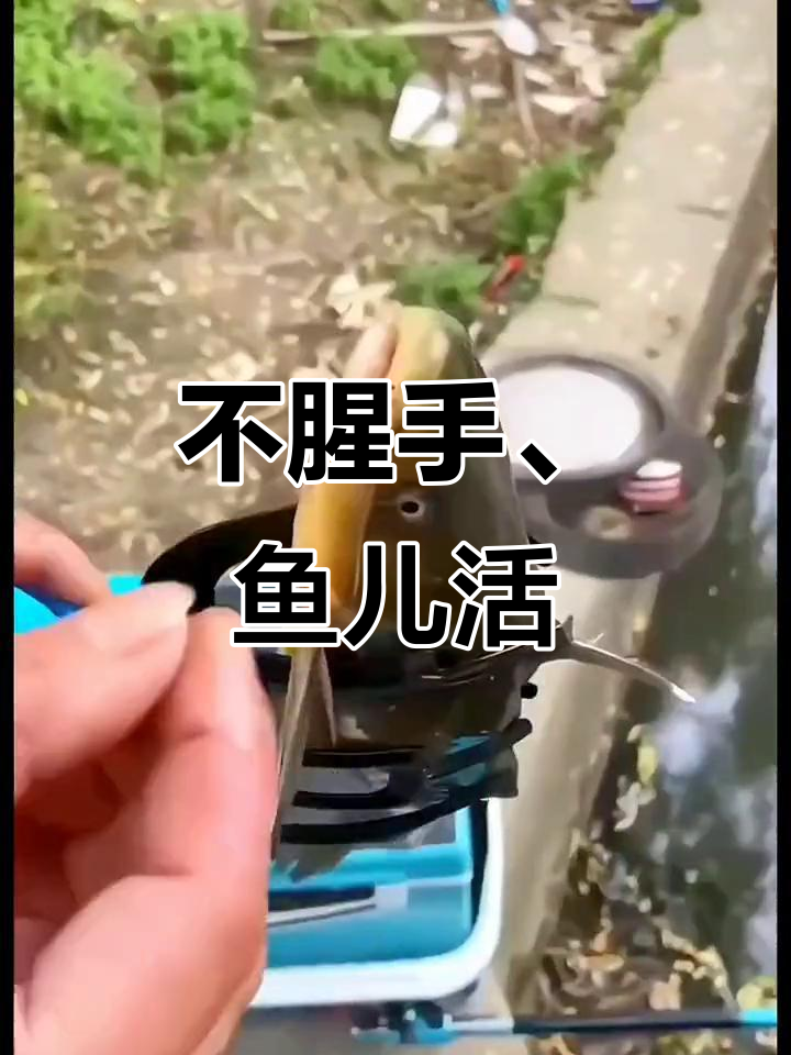 钓鱼必备!这款夹鱼器让手不脏,鱼儿不死