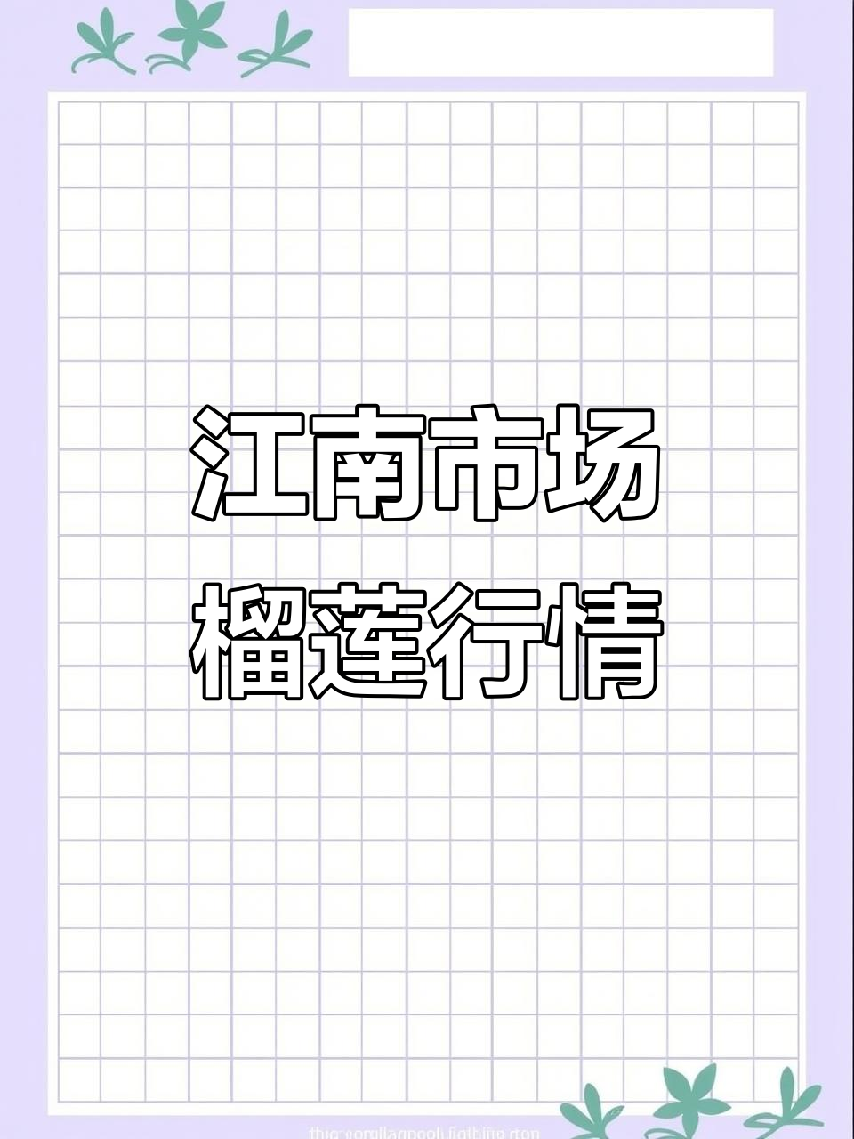 江南市场榴莲价格大揭秘,猫山王与越南奶猫对比分析