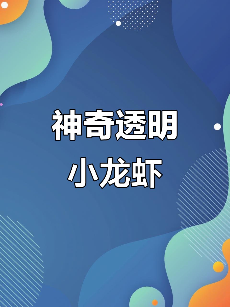 透明小龙虾现身,竟然能隐身!它能否变成大龙虾?