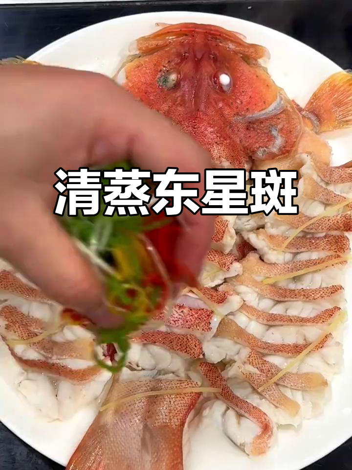 东星斑鱼肉鲜嫩,清蒸做法让你停不下来!