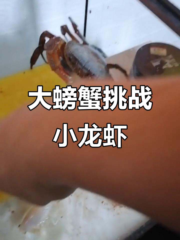 螃蟹VS小龙虾，谁能笑到最后？